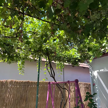 Casa Paraiso * 콘스탄차